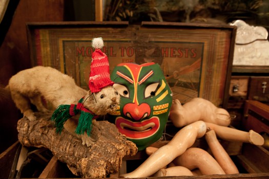 An old box full of old doll parts, a Japanese mask from the turn of the century and a taxidermy creature.